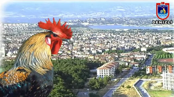 Tokat - Denizli uçak bileti